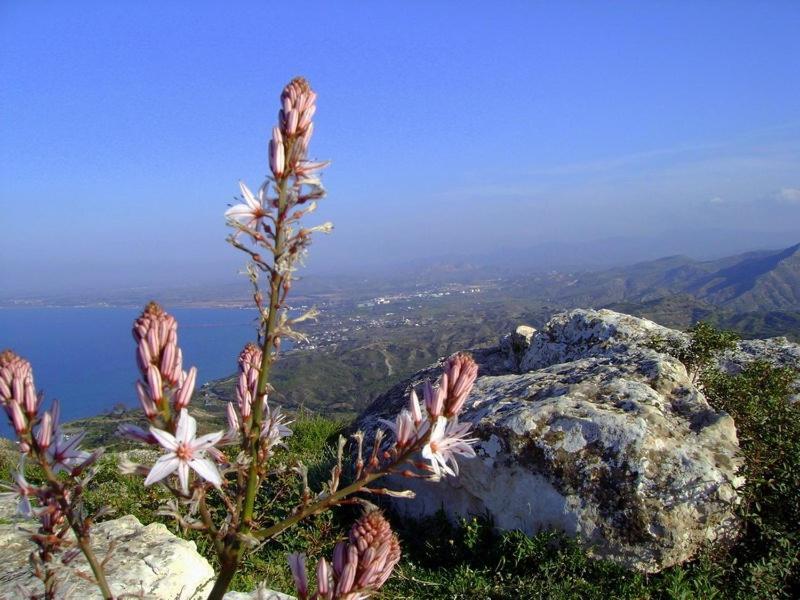Velmer Hotel Lefka  Esterno foto